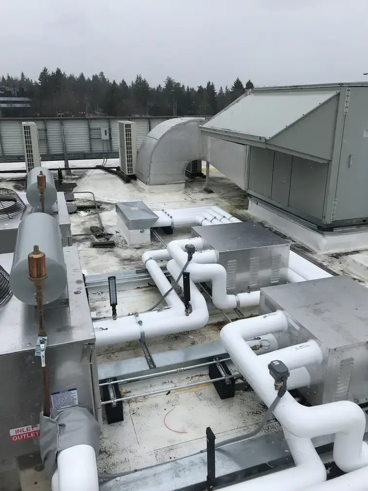 6C4C42CD-BCC7-491B-8D5F-062EF0EBCE8F